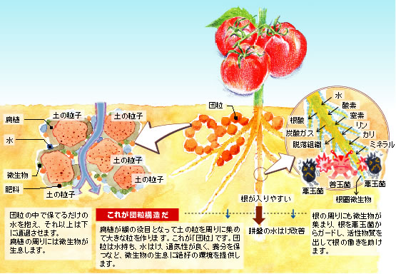 団粒構造図