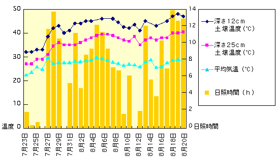 日照時間、温度グラフ