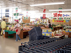 豊栄わくわく広場