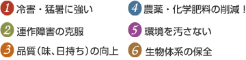 【1】冷害・猛暑に強い【2】連鎖障害の克服【3】品質(味、日持ち)の向上【4】農薬・化学肥料の削減!!【5】環境を汚さない【6】生物体系の保全